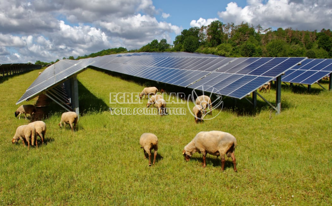 Kerja Sama Strategis antara Egret Solar New Energy Technology dan Smart Concept Energy