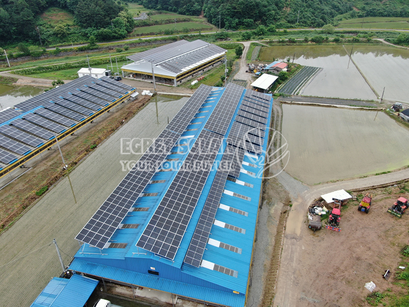 Analisis Pasar Energi Surya di Korea Selatan